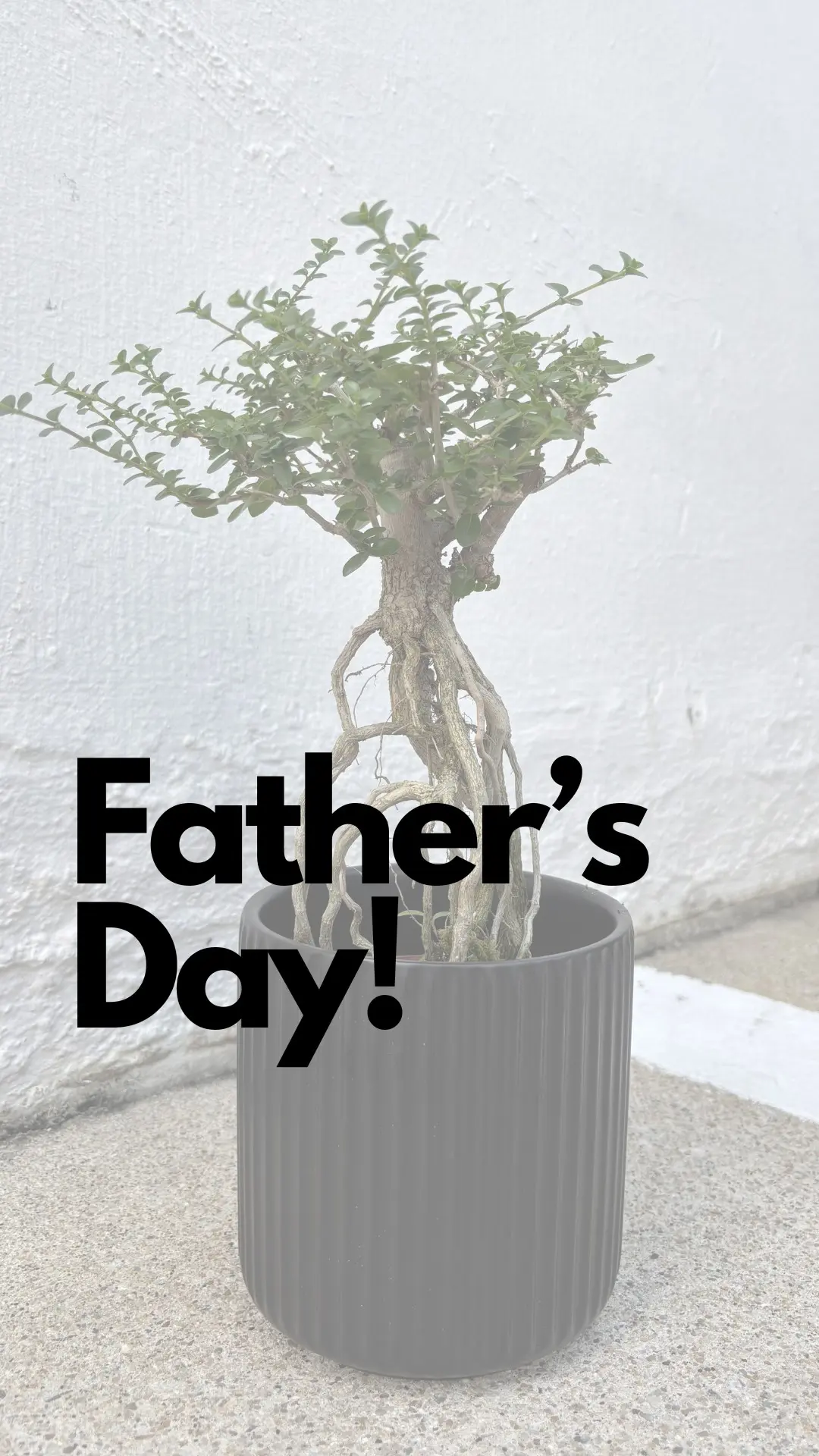 Father’s Day